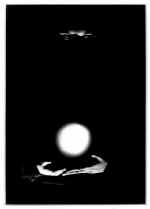 reptile.jpg (12288 bytes)